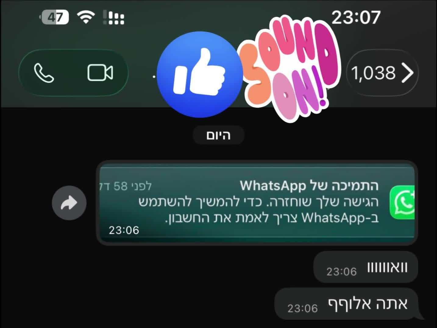 צ׳אט עם לקוח שקיבל הודעה על שחזור הגישה לחשבון